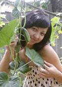 howtodatingrussian.com - beauty woman